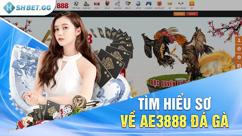 Ae3888 đá gà – Thiên đường đấu kê cho anh em hot năm 2024⭐