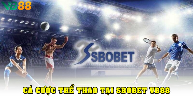 Sảnh Cá Cược Thể Thao Với Tỷ Lệ Kèo Chuẩn Quốc Tế